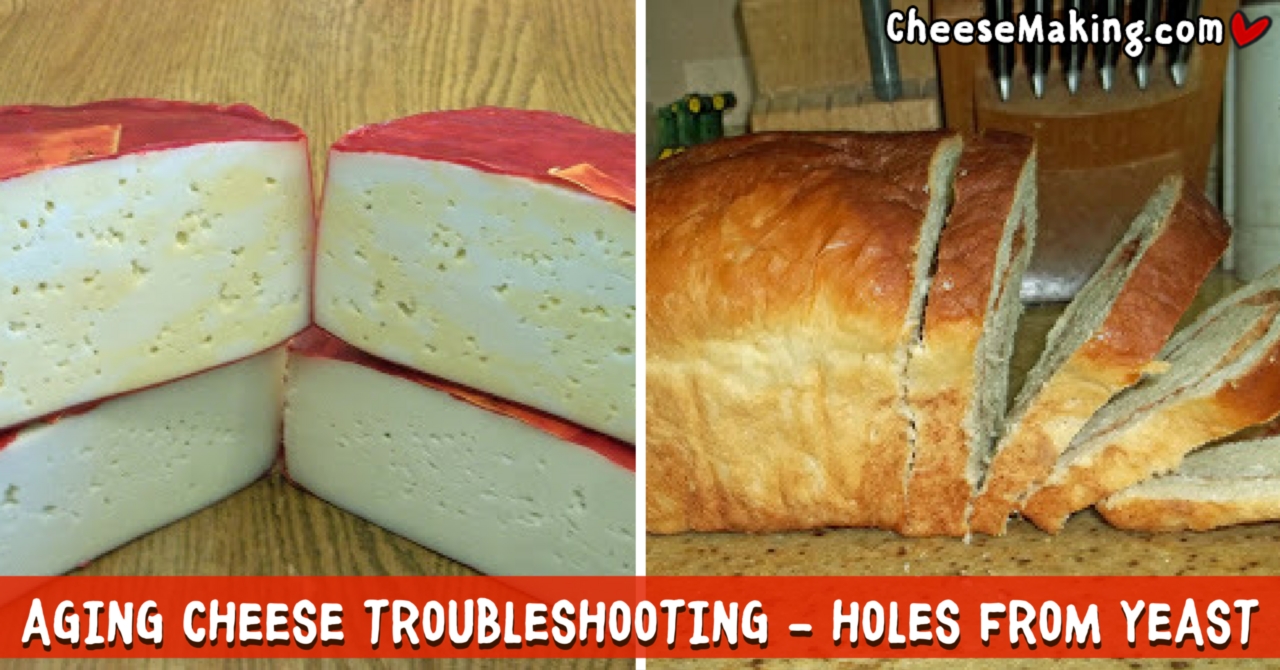 Mystery Holes In Her Cheese A Better Whey
