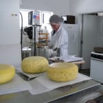 Making Cheese at an Independent School