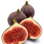 Making Rennet From Fig Sap?!!