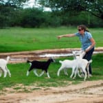 Making Goat Cheese in Namibia, Africa