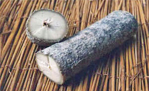 Saint Maure Ash  (Photo from CheeseSupply.Com)
