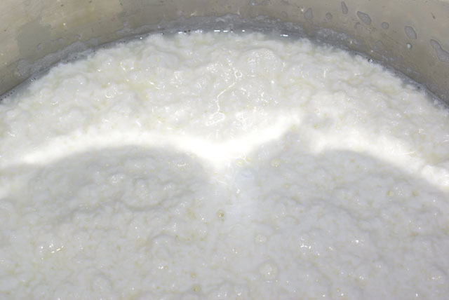 Whole Milk Ricotta Recipe | Cheese Making Supply Company