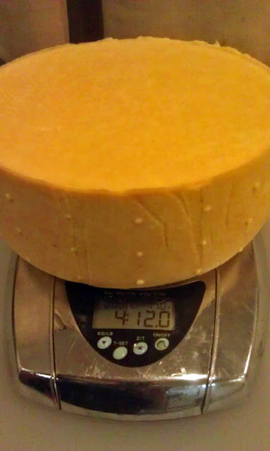 9.6colby-on-the-scale