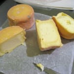 Washed Rind Cheese with Andy Mahoney