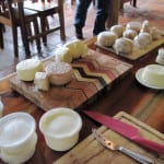 Cheese Making Adventure in Belize – Part 2 of 4