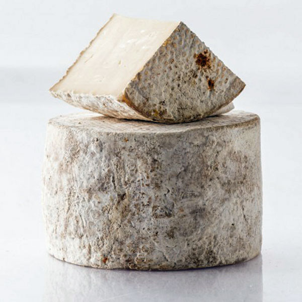 Home Cheesemaking; Everything you Need to Know to Natural Rind, Wax or  Vacuum Pack your Cheese. - Cheese From Scratch