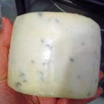 Kümmelkäse (Caraway Cheese) by Bob Albers