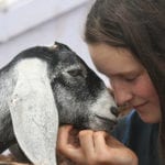 Raising a Kid Who Loves Goats!