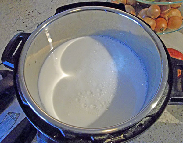 Making Yogurt In Your Instant Pot Recipe