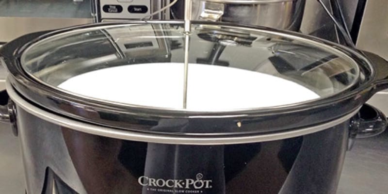 A black crockpot filled with a white substancesits on a steele counter.