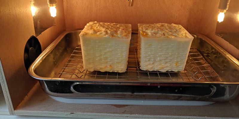 Two cubes of cheese inside a drying box