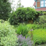 Using Whey in Your Garden