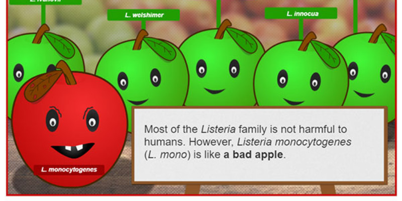 Listeria apple graphic
