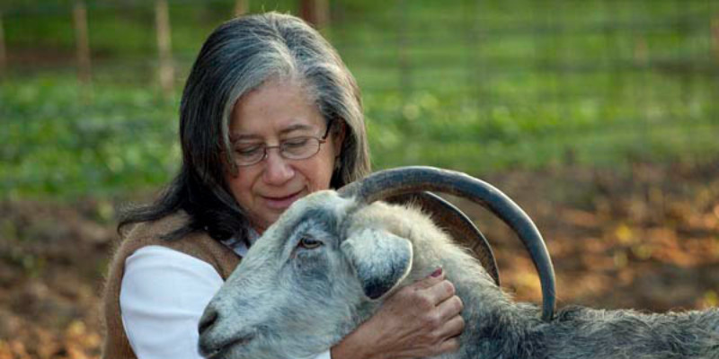 a woman petting a goat